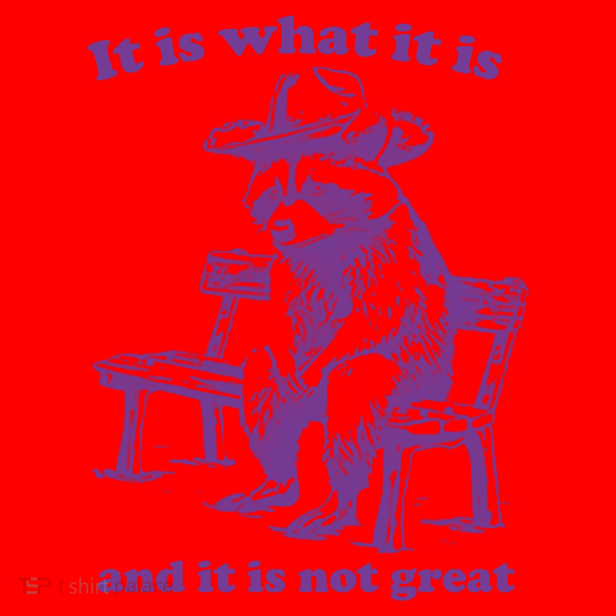 Slippywild It Is What It Is And It Is Not Great Santa Hat