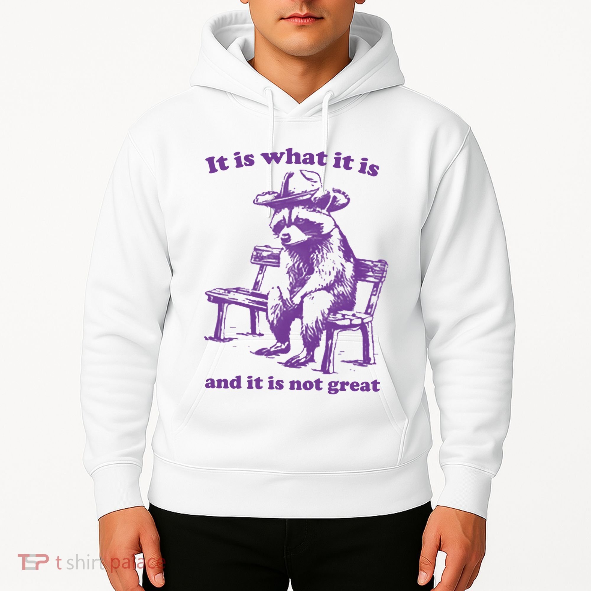 Slippywild It Is What It Is And It Is Not Great Hoodie