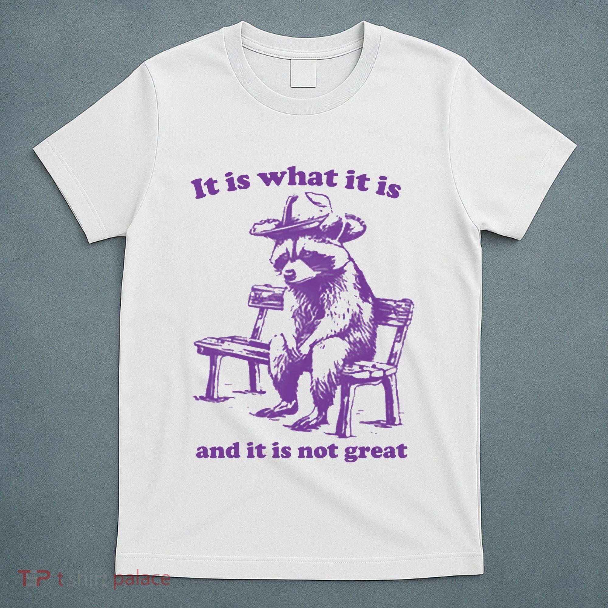 Slippywild It Is What It Is And It Is Not Great T-Shirt