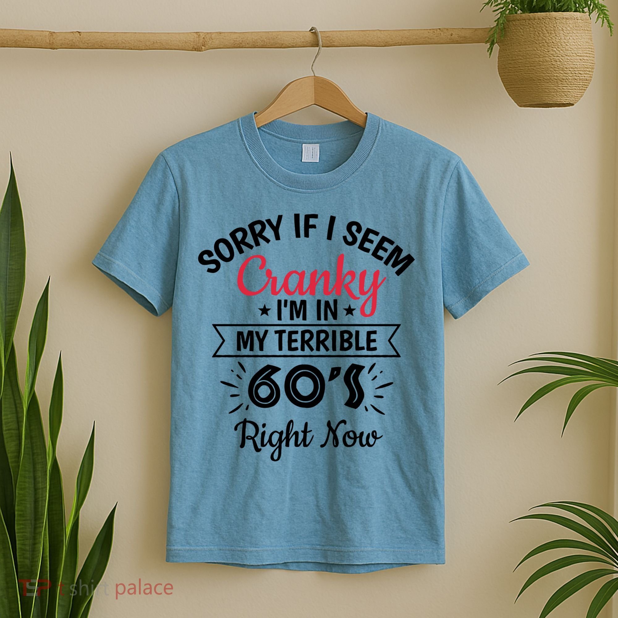 Sorry If I Am Cranky I'm In My Terrible 60's Right Now Funny Gift T-Shirt