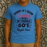 Sorry If I Am Cranky I'm In My Terrible 60's Right Now Funny Gift T-Shirt thumb 3