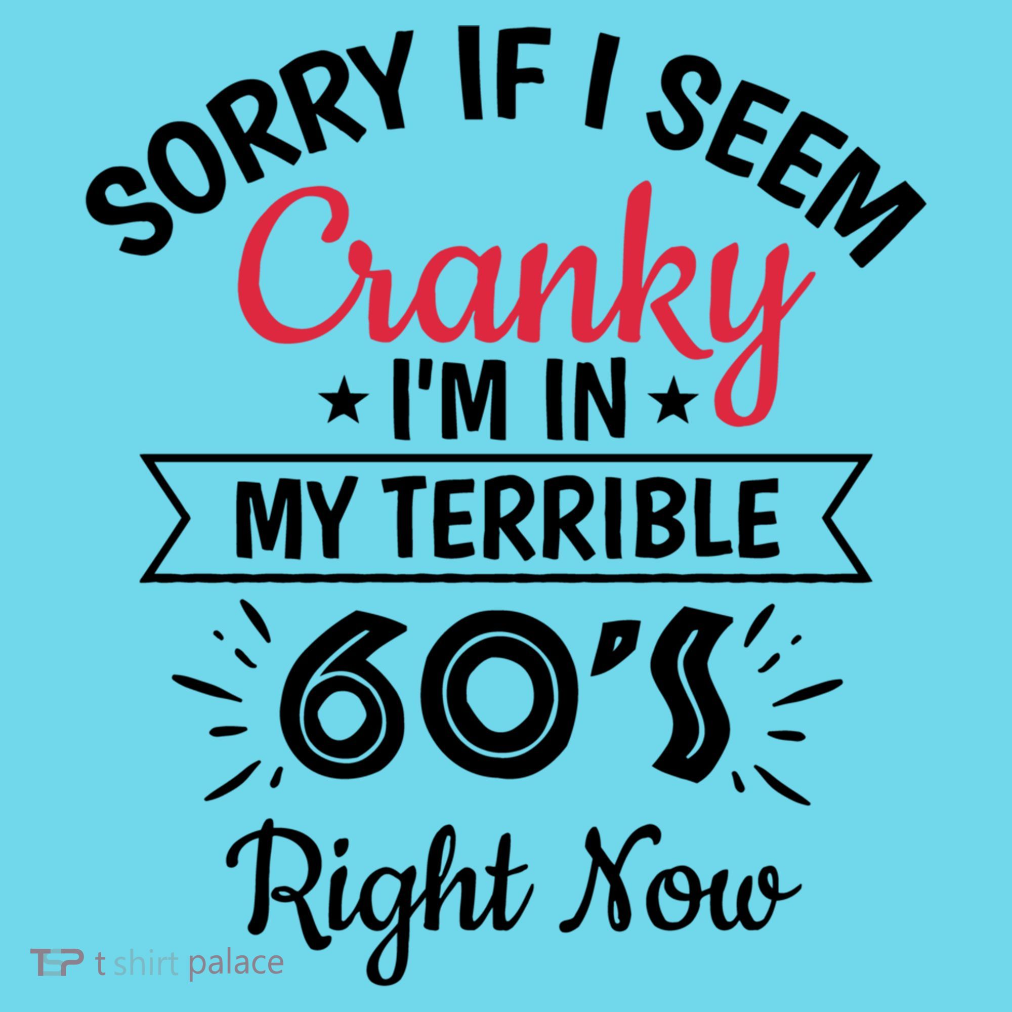 Sorry If I Am Cranky I'm In My Terrible 60's Right Now Funny Gift T-Shirt