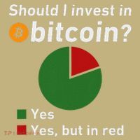Should I Invest In Bitcoin Yes Pie Chart Funny Crypto T-Shirt thumb 7