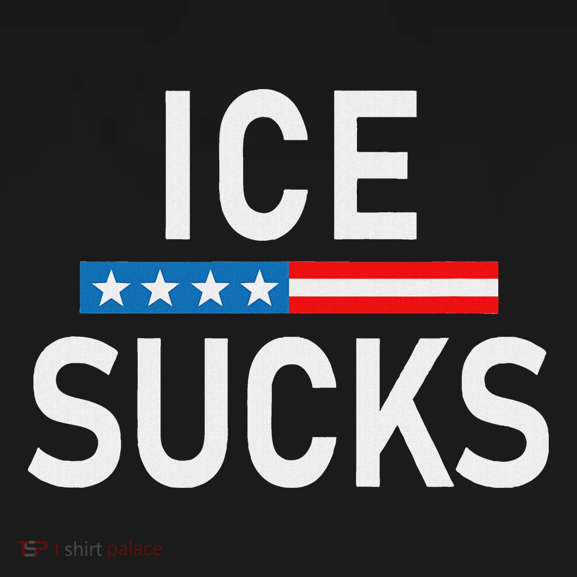 Support Immigrants Ice Sucks Bucket Hat