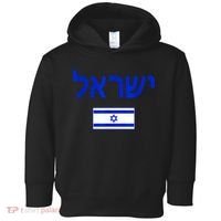 Support Israel I Stand With Israel Israel Flag Toddler Hoodie thumb 0