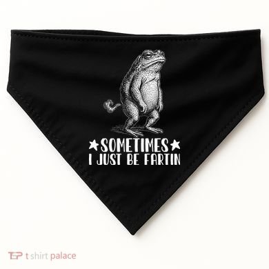 Sometimes I Just Be Fartin USA-Made Doggie Bandana