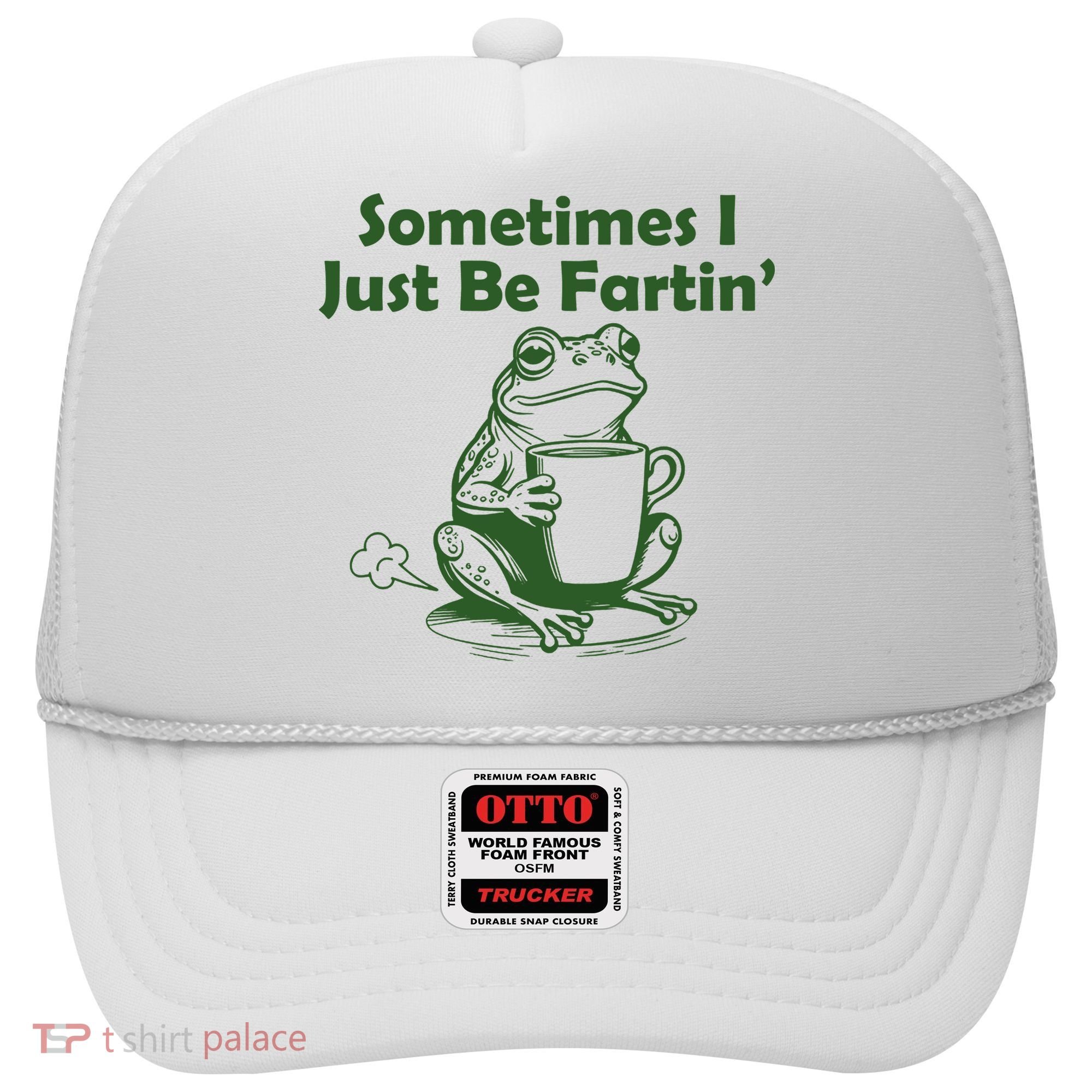 Sometimes I Just Be Fartin Funny Frog Hat