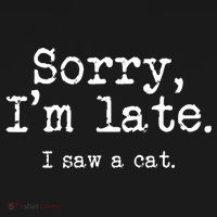 Sorry I'm Late I Saw A Cat Funny Saying For Kitten Cat Lover Ornament thumb 1