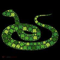 Snake Irish Lucky Green Shamrock Clover St Patricks Day Women's Hoodie thumb 2