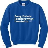 Sorry IM Late I Got Here When I Wanted To Funny Sarcastic Gift Kids Sweatshirt thumb 0