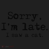 Sorry Im Late I Saw A Cat Funny Saying Women's Sweatshirt thumb 2