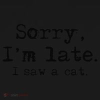 Sorry Im Late I Saw A Cat Funny Saying Women's T-Shirt thumb 6