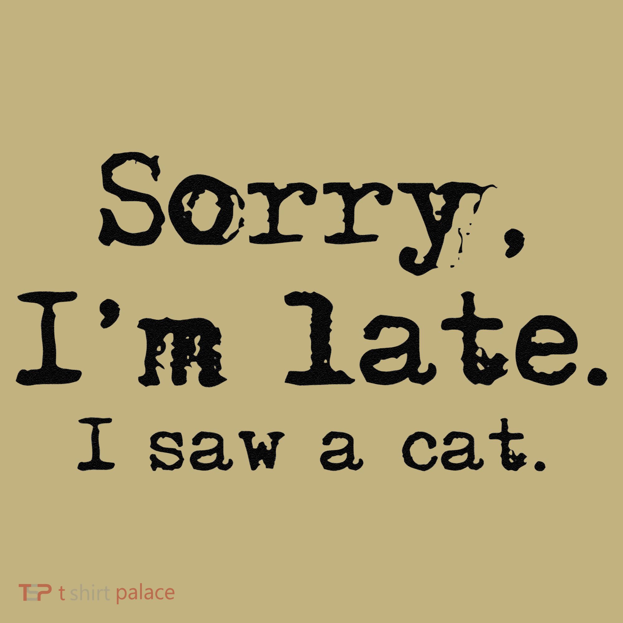 Sorry Im Late I Saw A Cat Funny Saying Hoodie