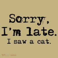 Sorry Im Late I Saw A Cat Funny Saying Mousepad thumb 1