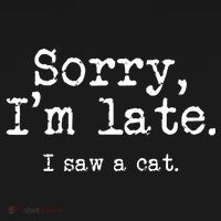 Sorry I'm Late I Saw A Cat Funny Cat Lover Women's Hoodie thumb 2
