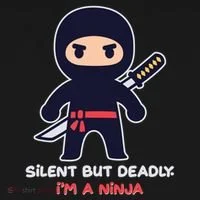 Silent But Deadly I'm A Ninja Women's Hoodie thumb 2