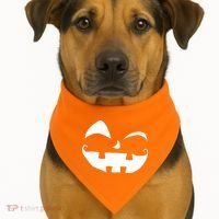 Silly Jack O' Lantern Face USA-Made Doggie Bandana thumb 1