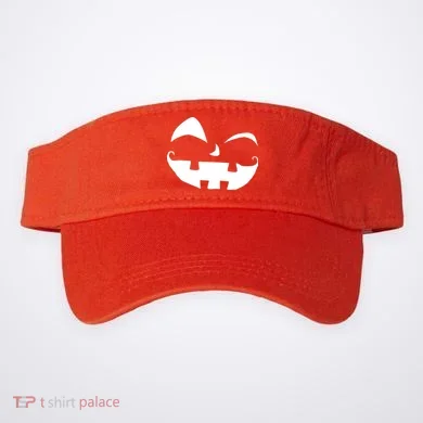 Visor