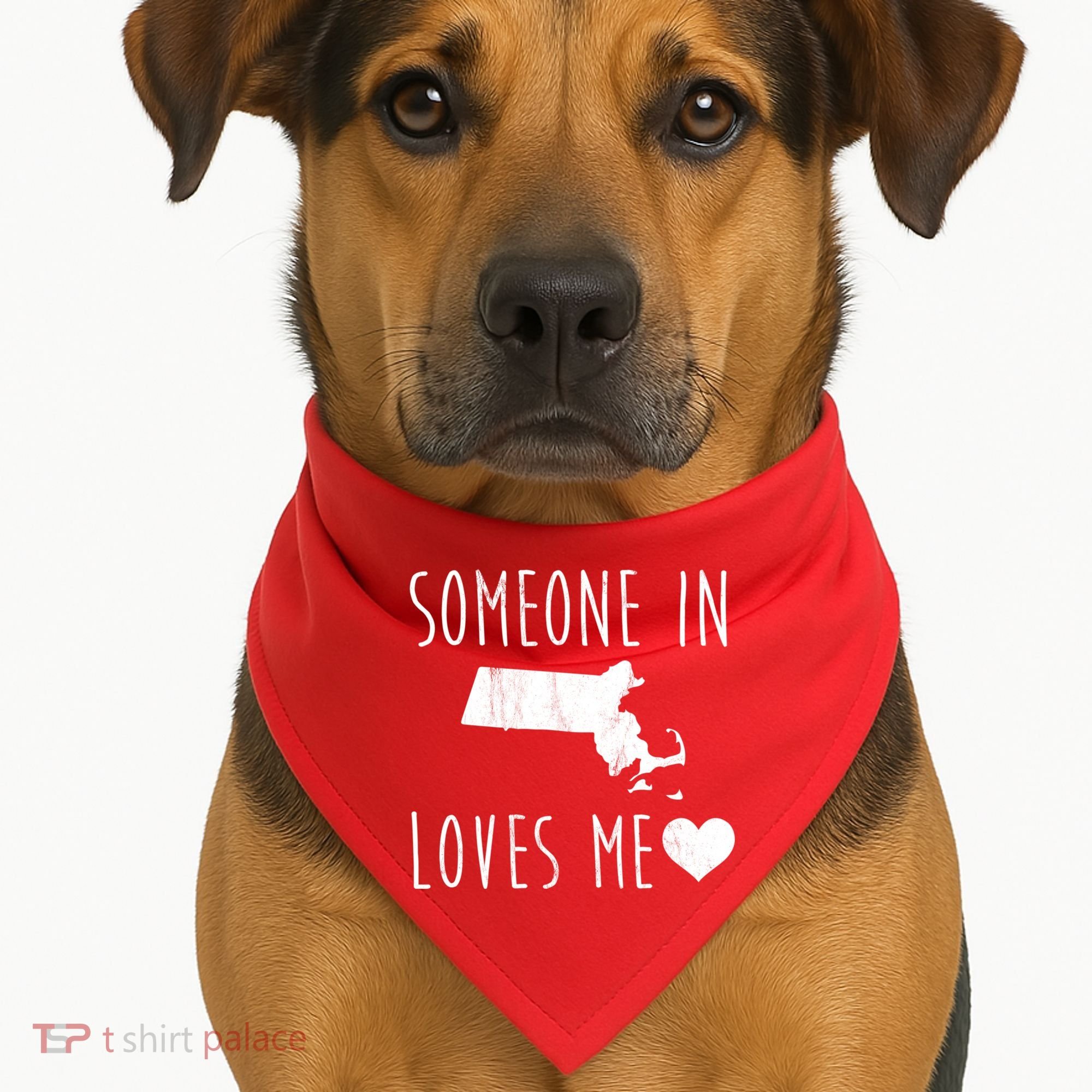 Someone In Massachusetts Loves Me! Cute State Gift USA-Made Doggie Bandana