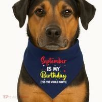 September Is My Birthday The Whole Month September Birthday USA-Made Doggie Bandana thumb 1