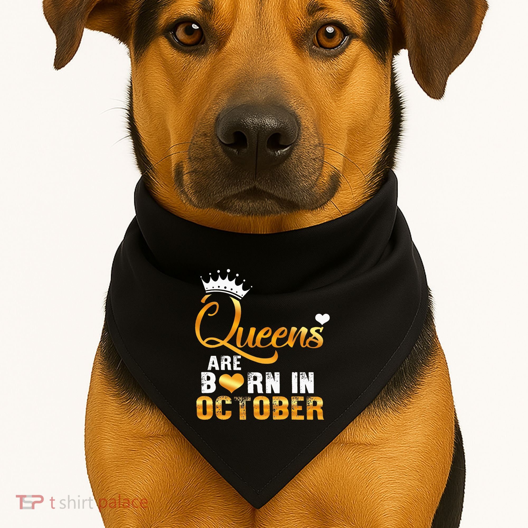 Stepping Into My October Birthday With Gods Grace And Mercy USA-Made Doggie Bandana