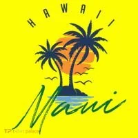 Summer In Maui Hawaii Women's T-Shirt thumb 6