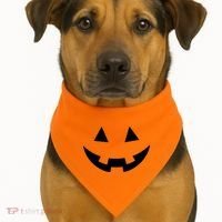 Simple Pumpkin Big Face USA-Made Doggie Bandana thumb 1