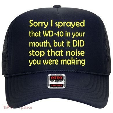 Sorry I Sprayed That WD 40 In Your Mouth Hat