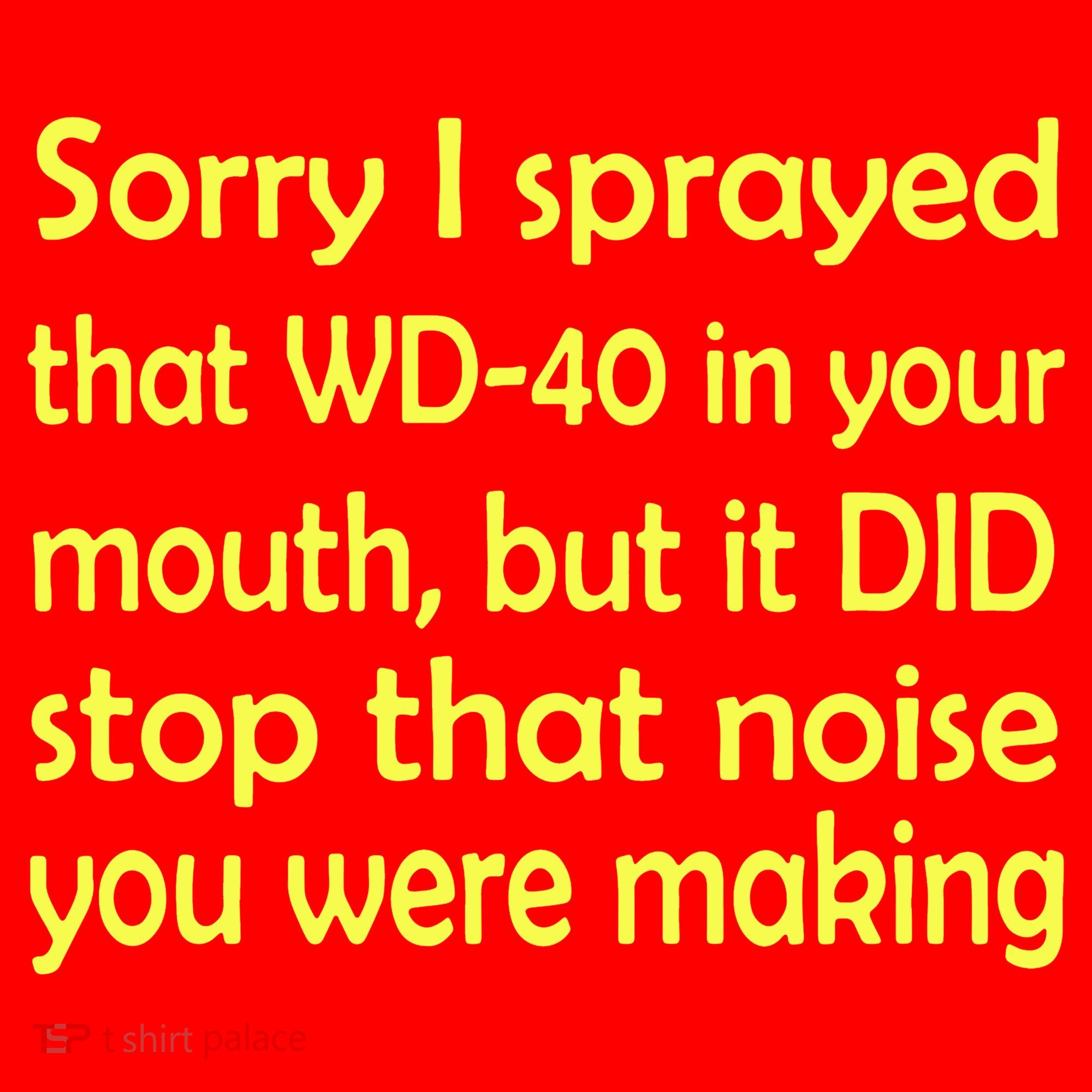Sorry I Sprayed That WD 40 In Your Mouth Santa Hat