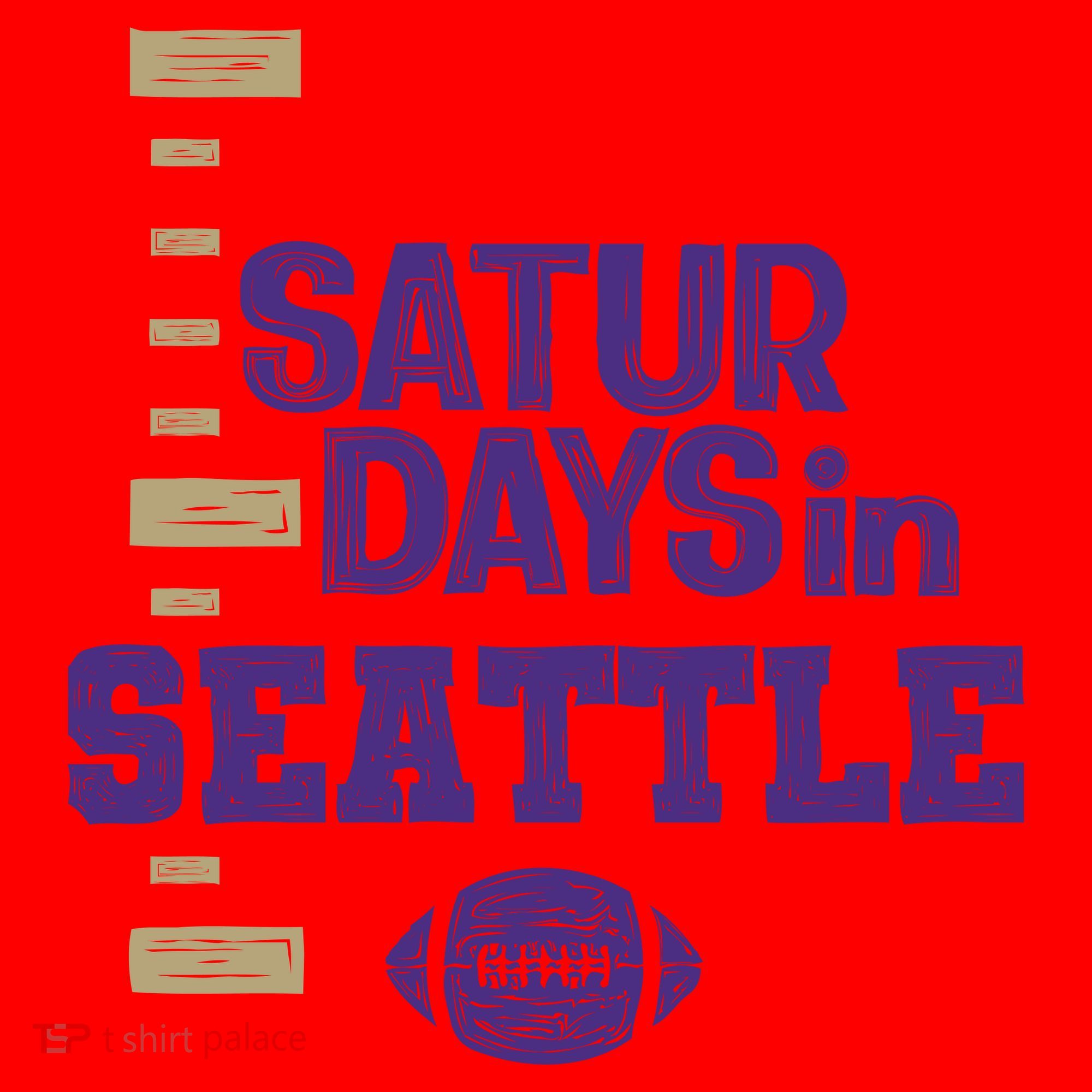 Saturdays In Seattle Football Fan Santa Hat