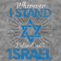 Support Israel Standing Strong Together Toddler Hoodie thumb 2