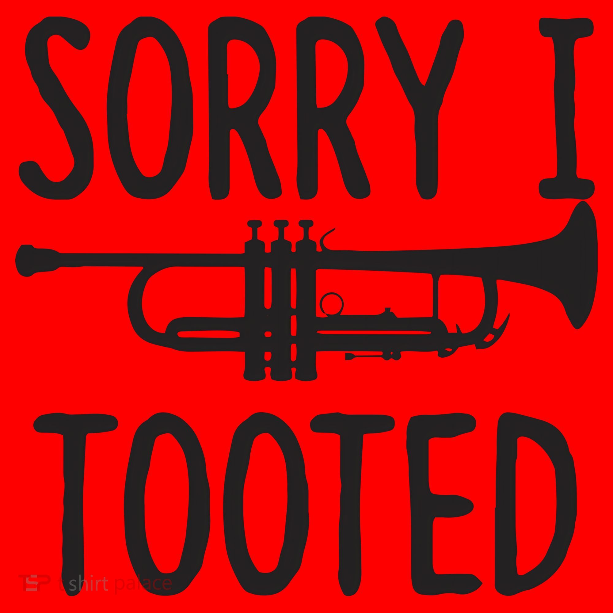 Sorry I Tooted Trumpet For Trumpet Player Santa Hat