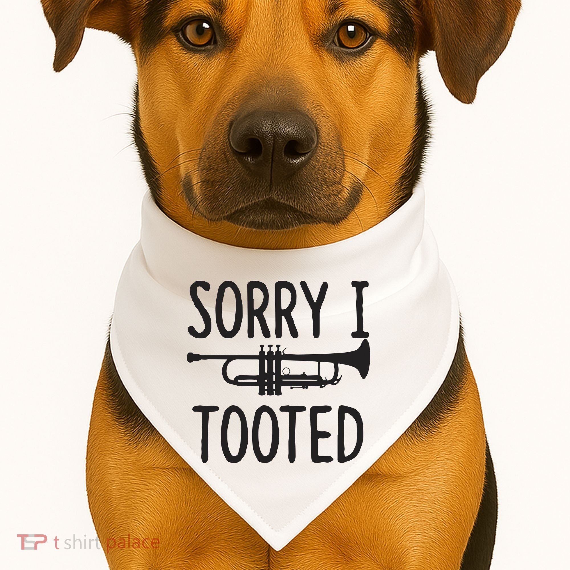 Sorry I Tooted Trumpet For Trumpet Player USA-Made Doggie Bandana