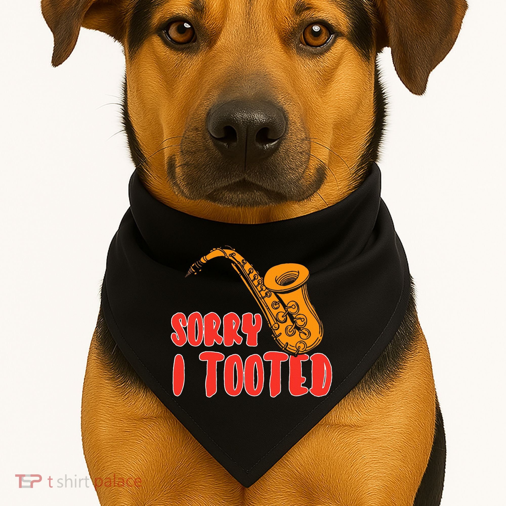 Sorry I Tooted Funny Saxophone Player Gifts USA-Made Doggie Bandana
