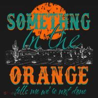 Something In The Orange Tells Me We're Not Done T-Shirt thumb 7