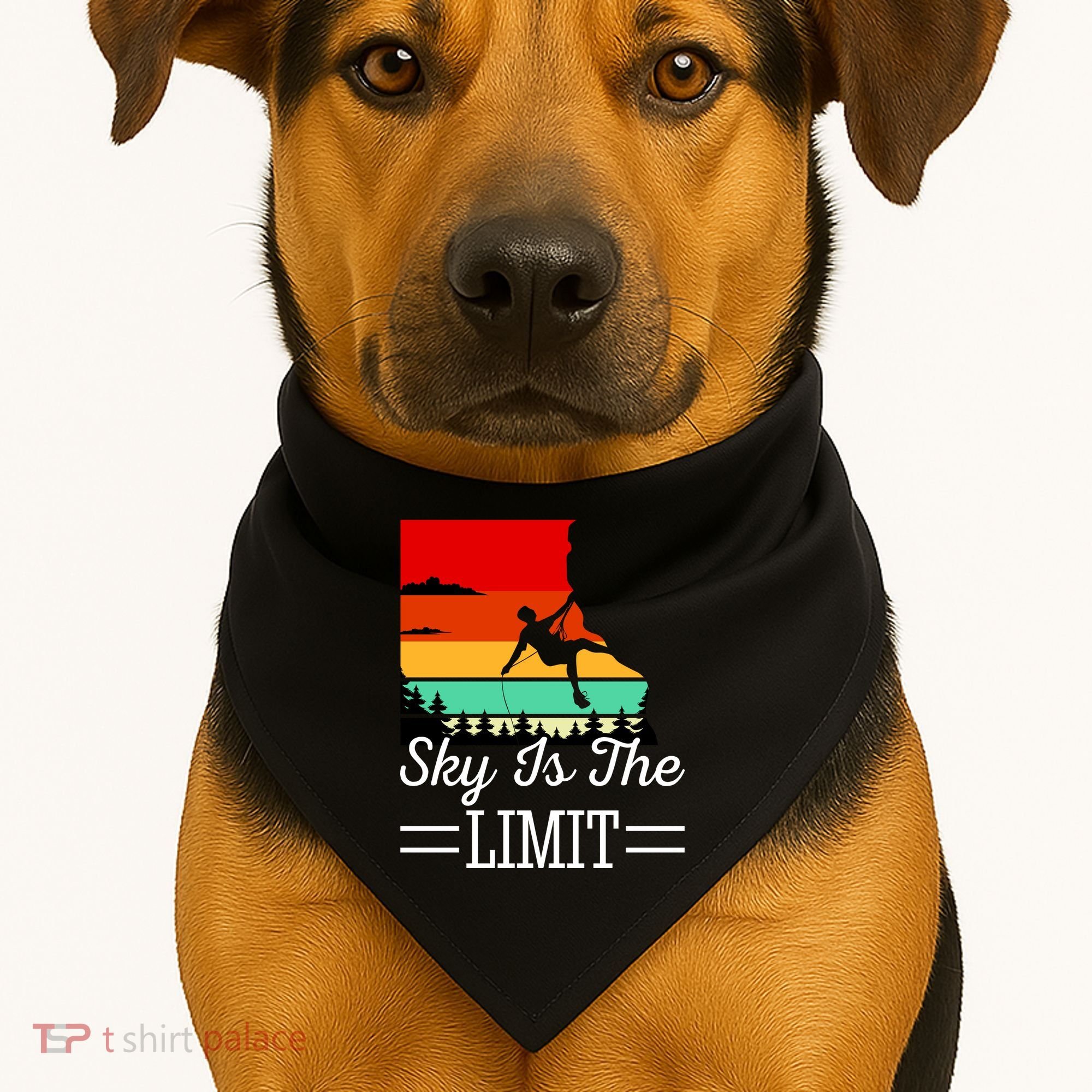 Sky Is The Limited Rock Climbing USA-Made Doggie Bandana