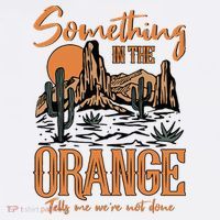 Something In The Orange Country Music Country Girl T-Shirt thumb 7