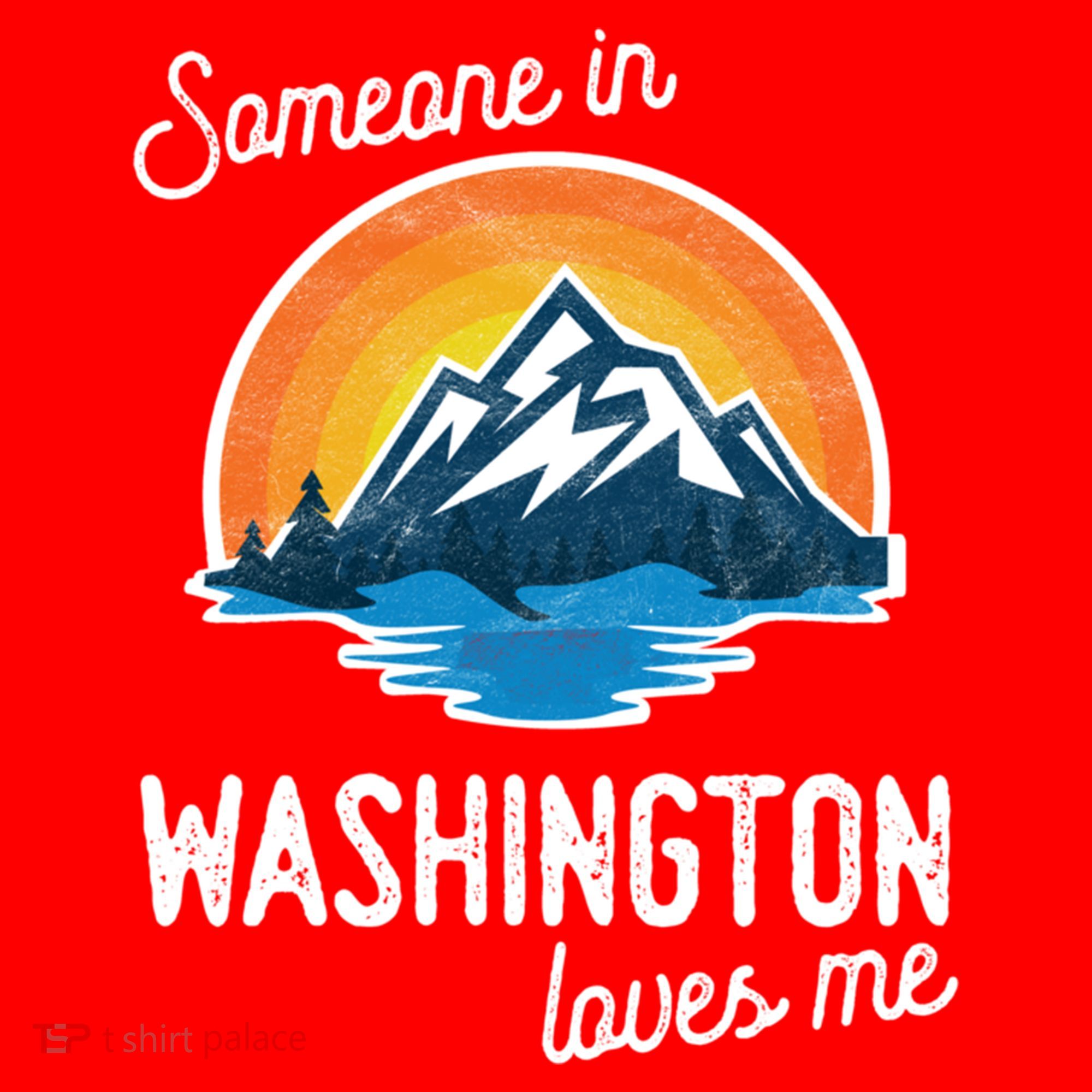 Someone In Washington Loves Me Gift Santa Hat