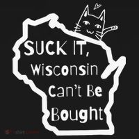 Suck It Wisconsin Can't Be Bought Funny Political 86 47 Women's Hoodie thumb 2