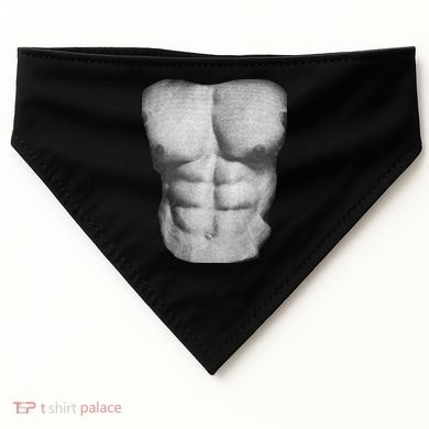 Six Pack Abs USA-Made Doggie Bandana