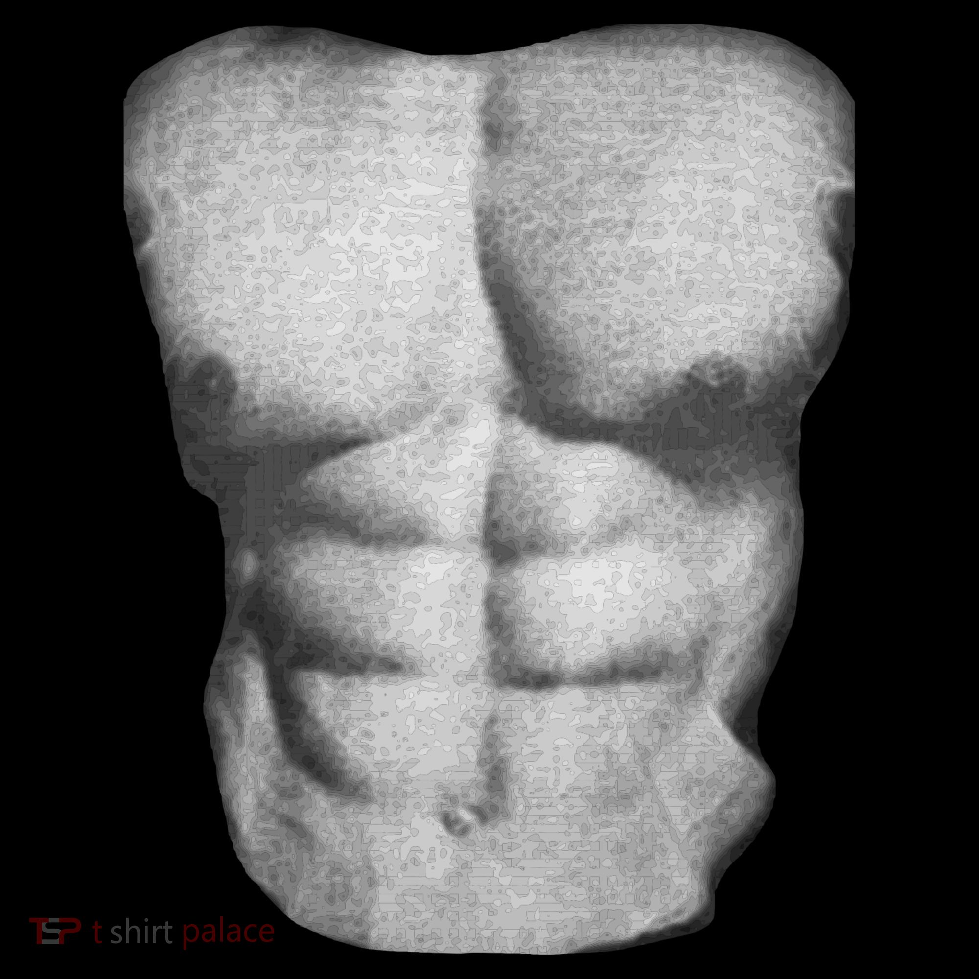 Six Pack Abs Toddler T-Shirt