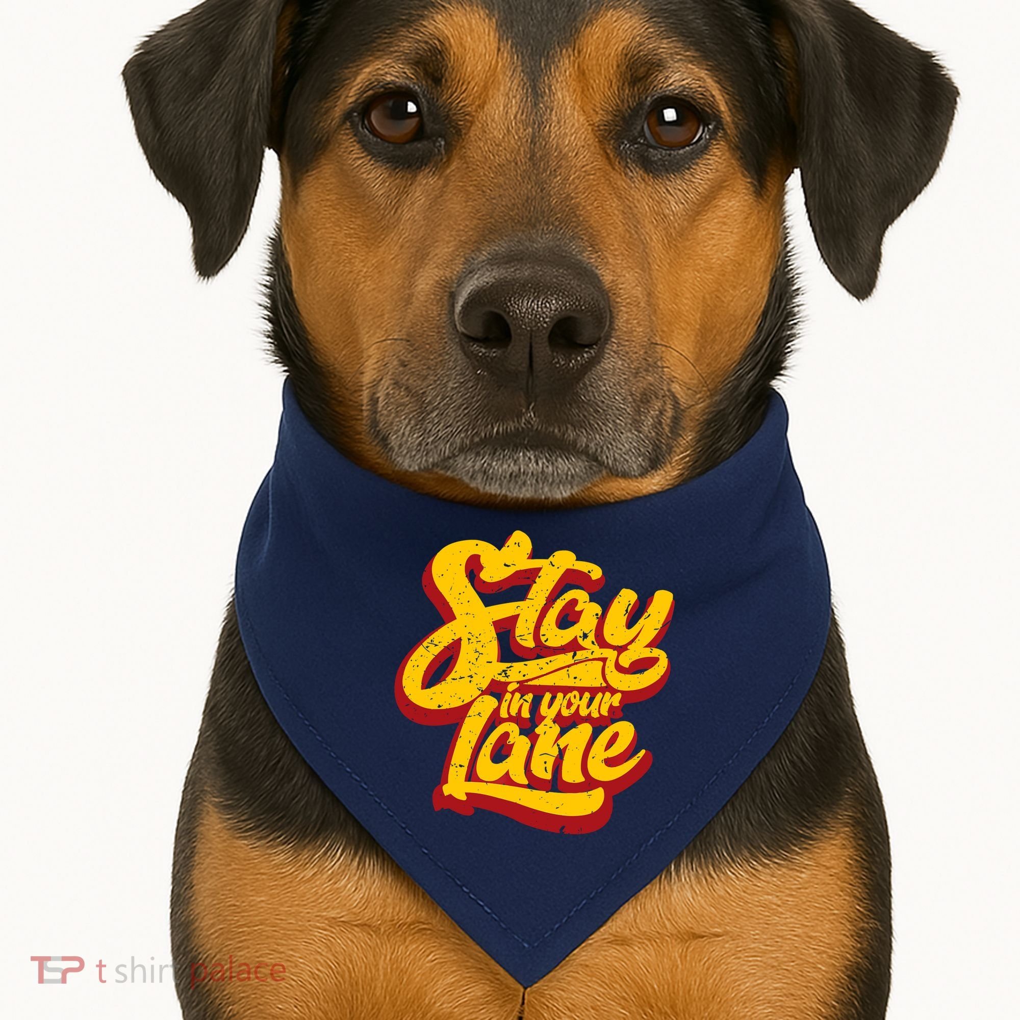 Stay In Your Lane Positive Message USA-Made Doggie Bandana