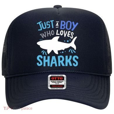 Shark Just A Boy Who Loves Sharks Gift Hat