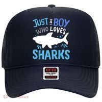 Shark Just A Boy Who Loves Sharks Gift Hat thumb 0