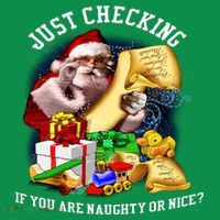 Santa Just Checking If You Are Naughty Or Nice Hoodie thumb 7