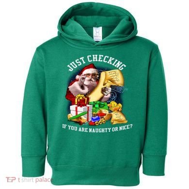 Santa Just Checking If You Are Naughty Or Nice Toddler Hoodie