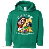 Santa Just Checking If You Are Naughty Or Nice Toddler Hoodie thumb 0
