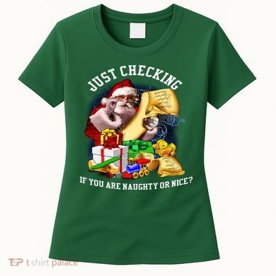 Santa Just Checking If You Are Naughty Or Nice Women's T-Shirt