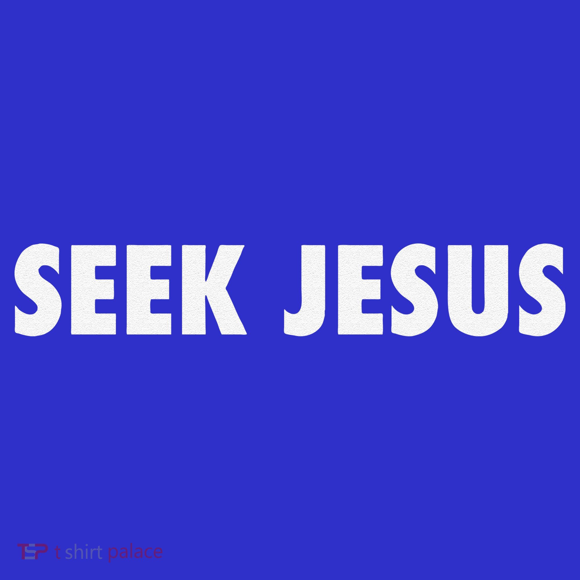 Seek Jesus Evangelism Toddler Hoodie