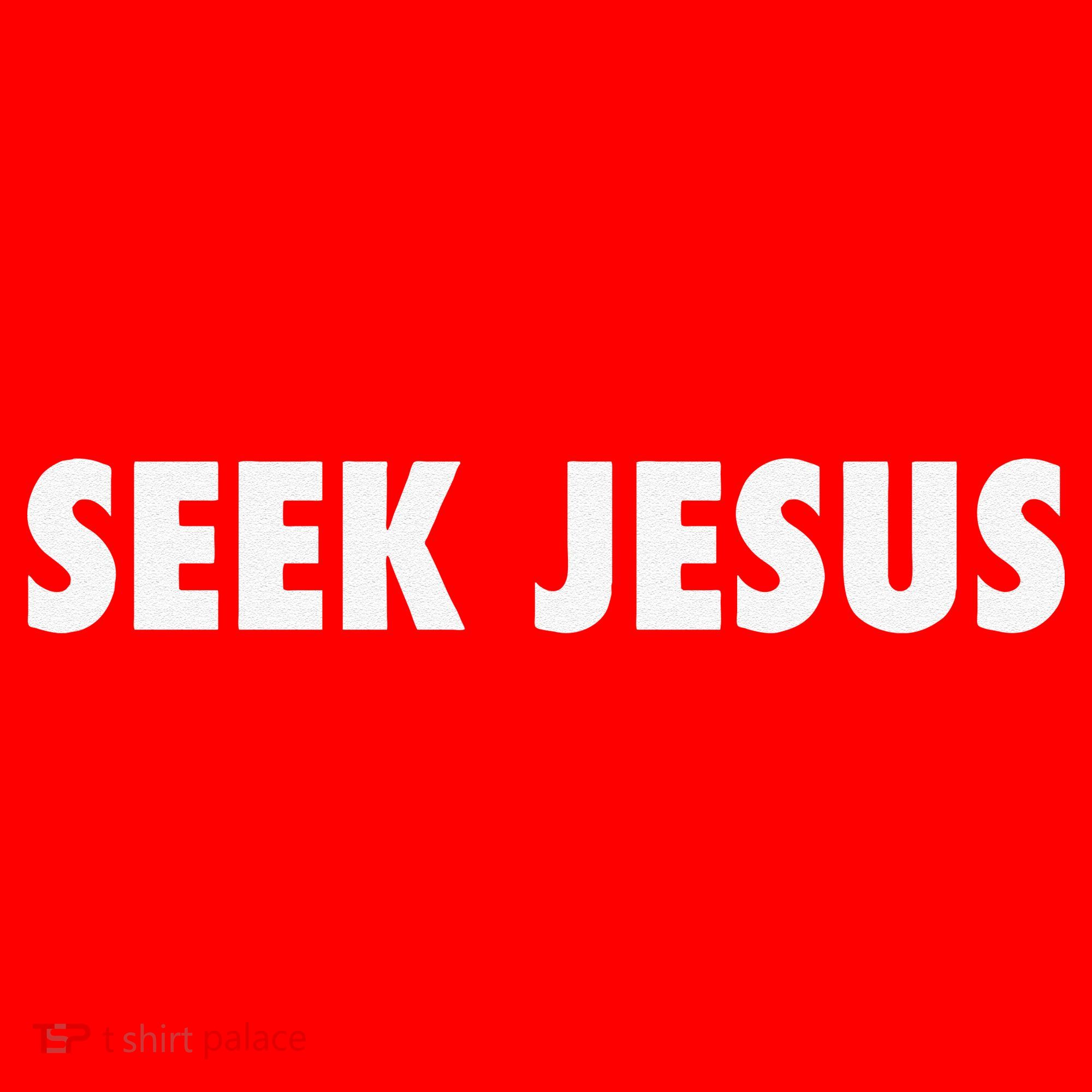 Seek Jesus Evangelism Santa Hat